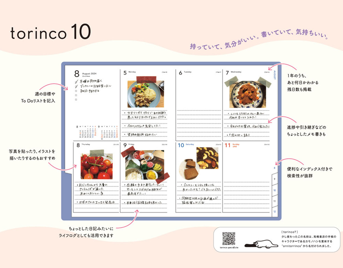 torinco 10 