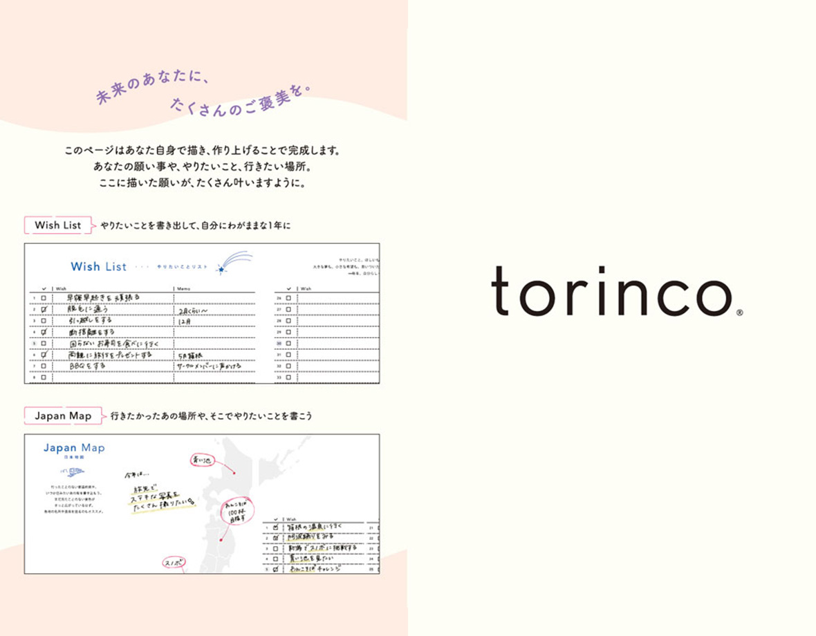 torinco 11 