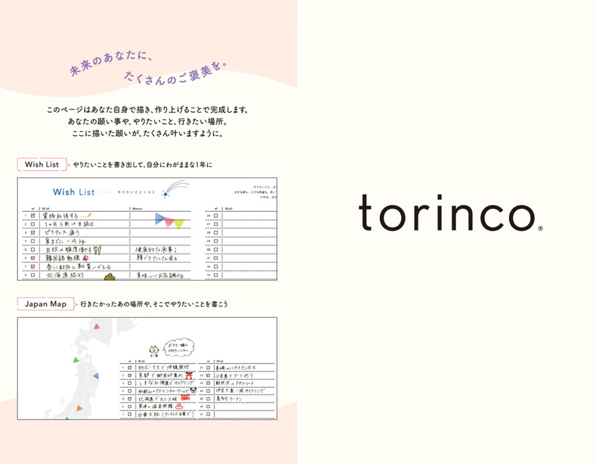torinco 12 