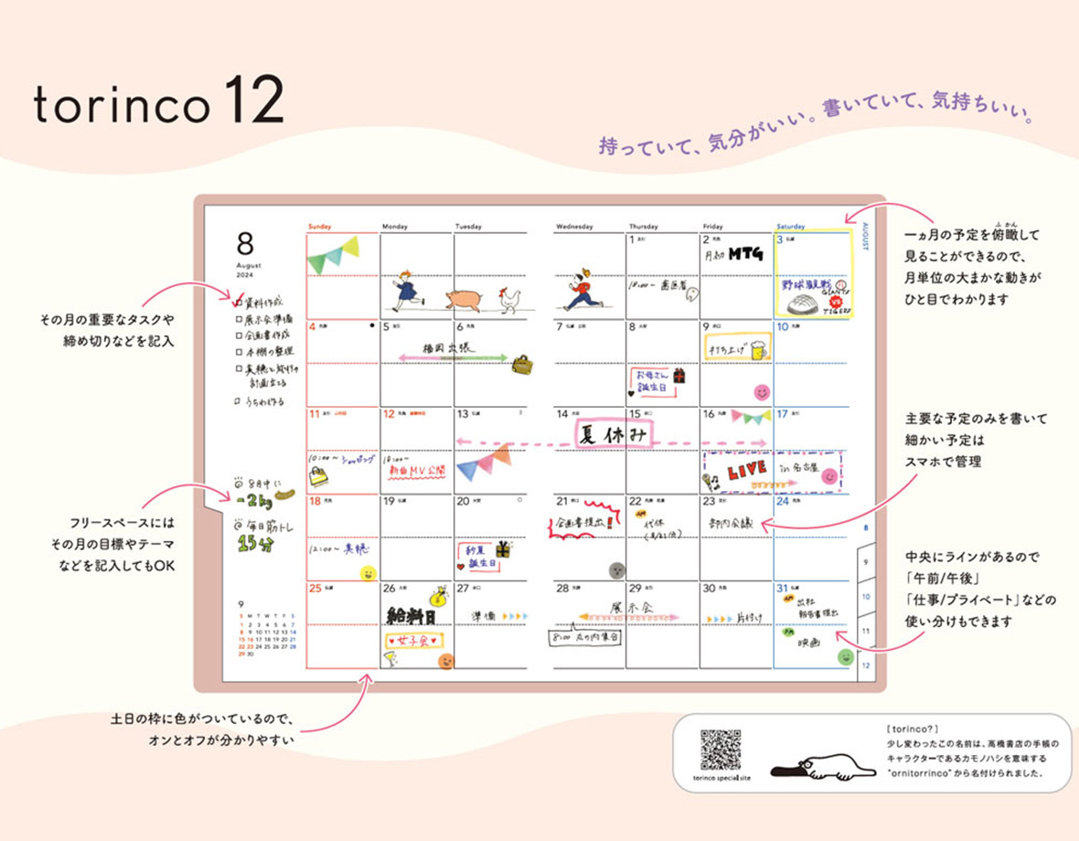 torinco 12 