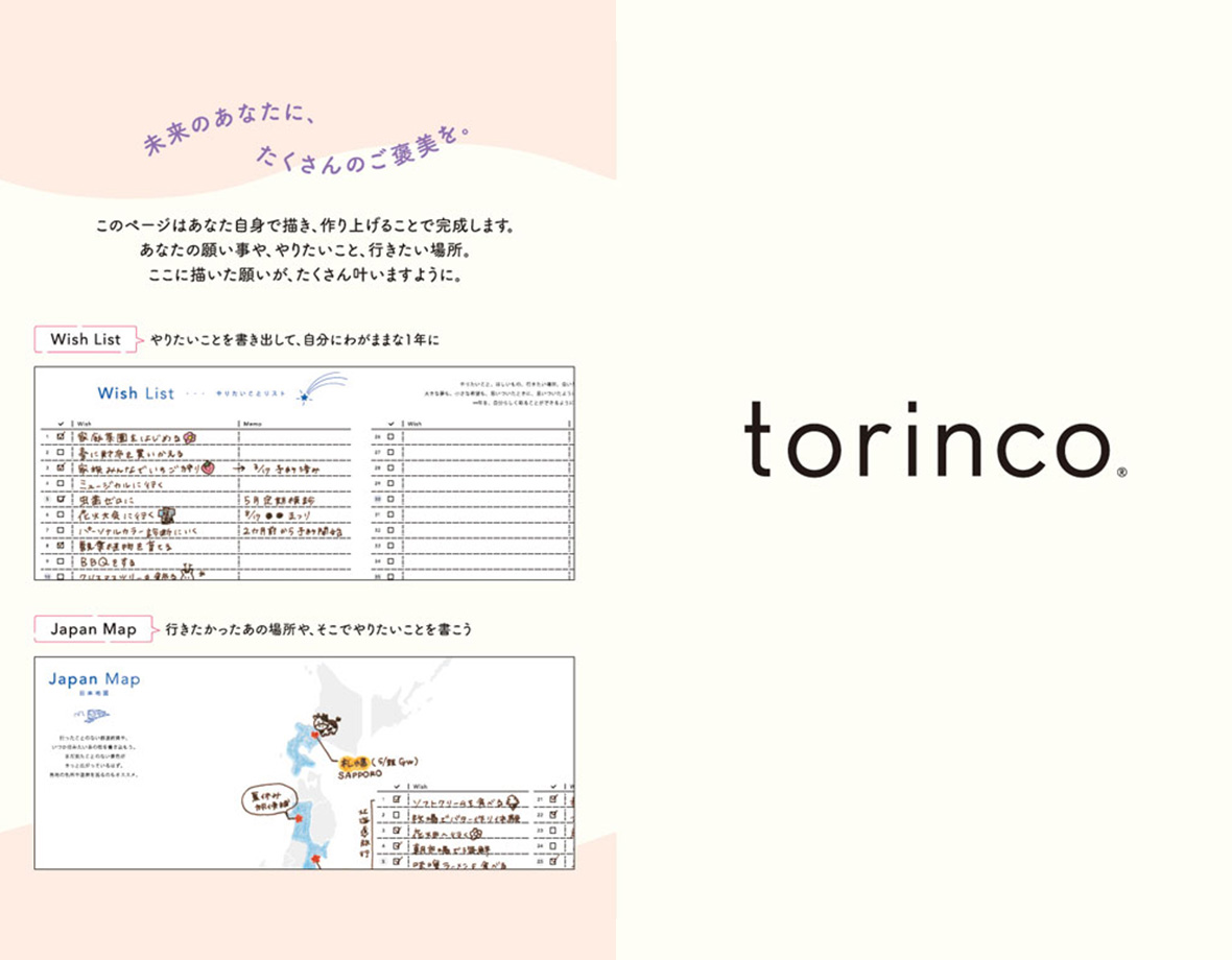torinco 2 