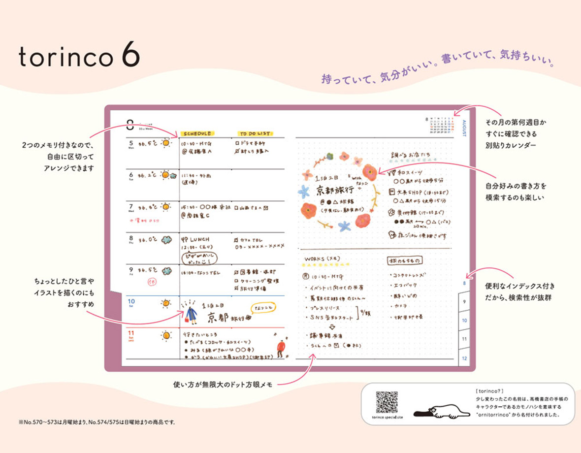 torinco 6 