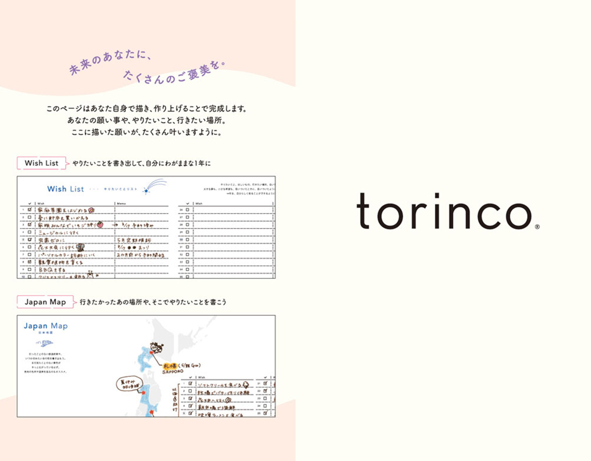 torinco 6 