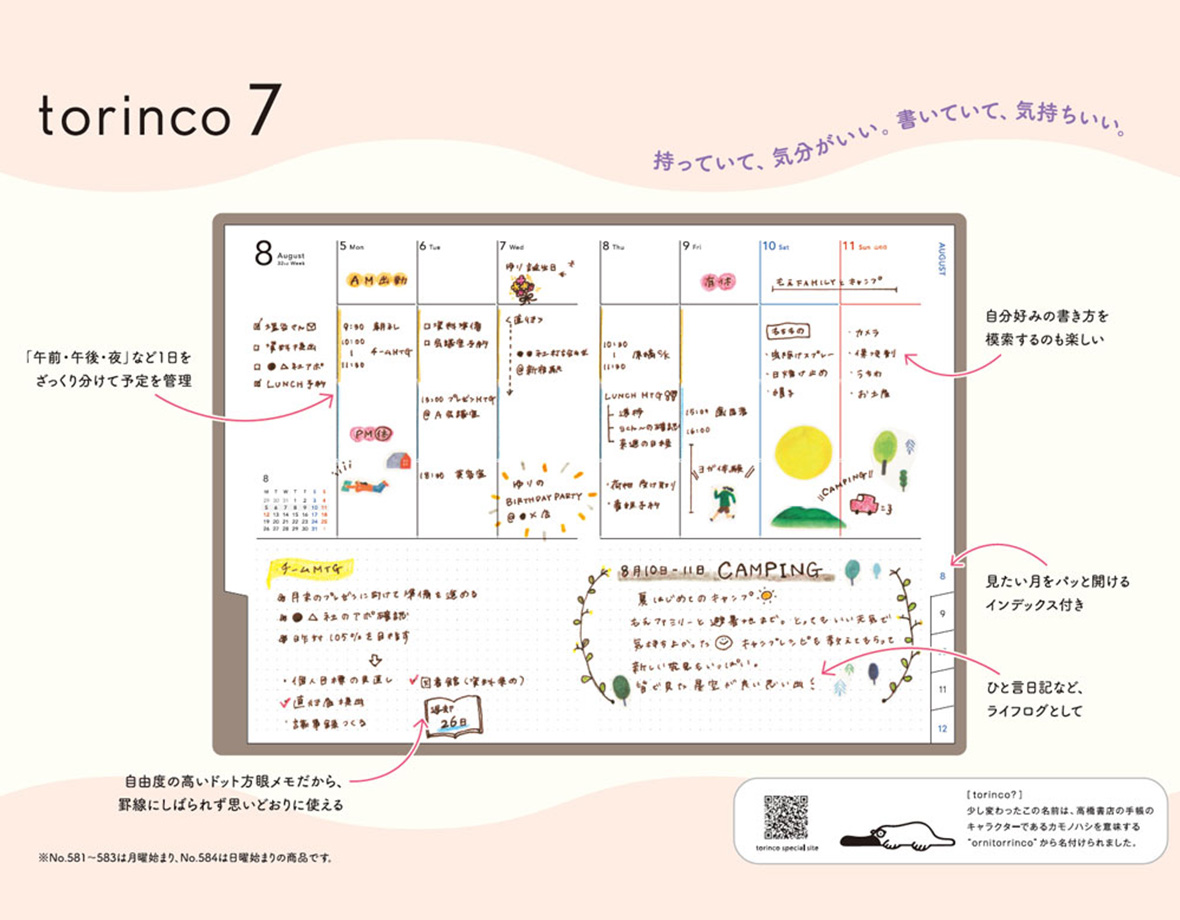 torinco 7 