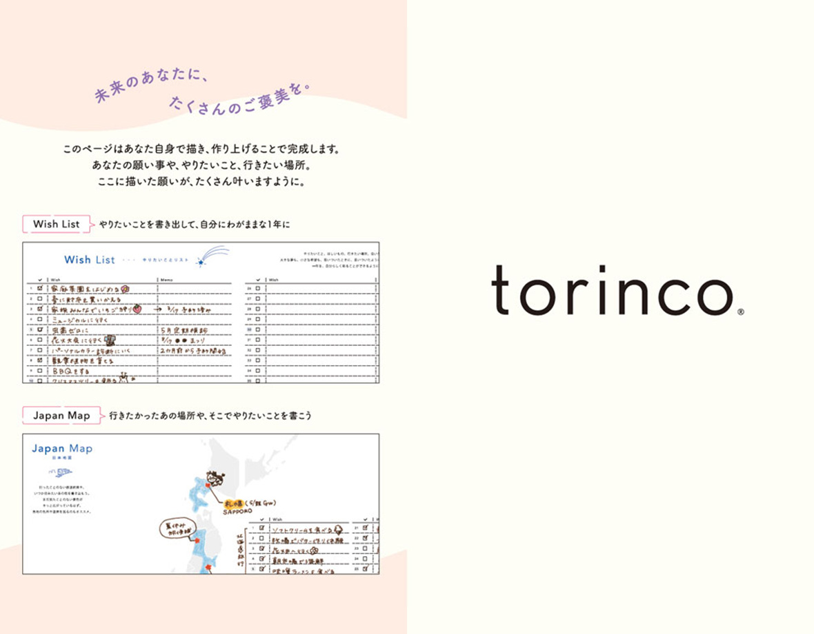 torinco 7 
