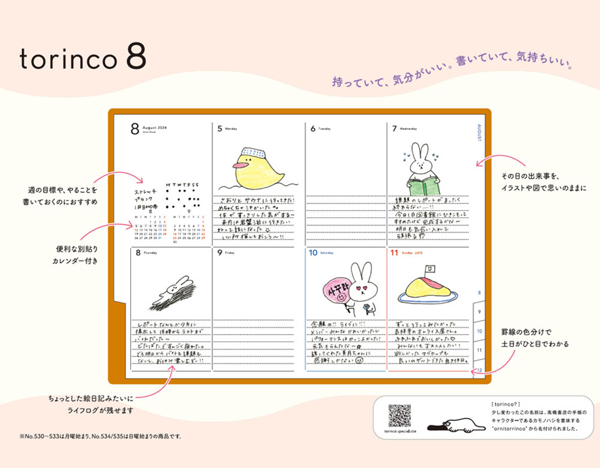 torinco 8 