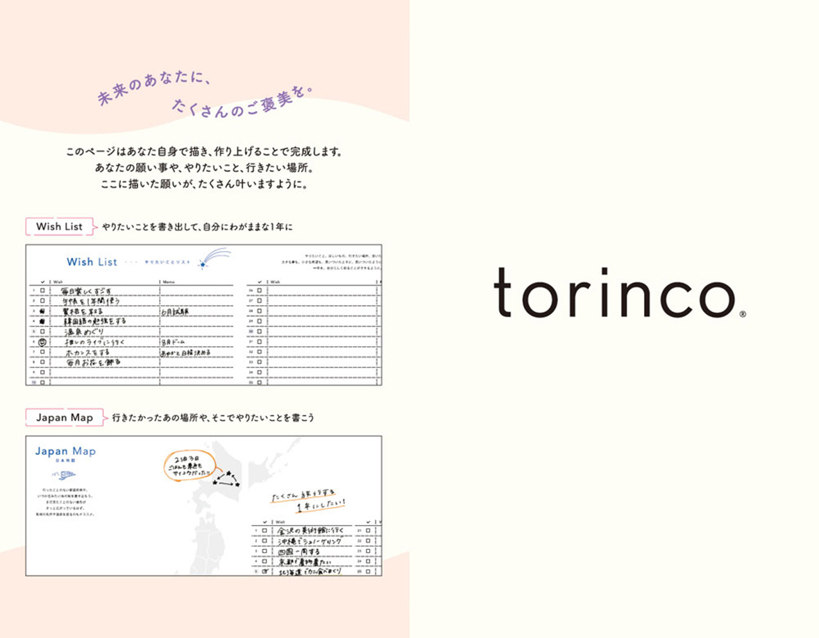 torinco 8 