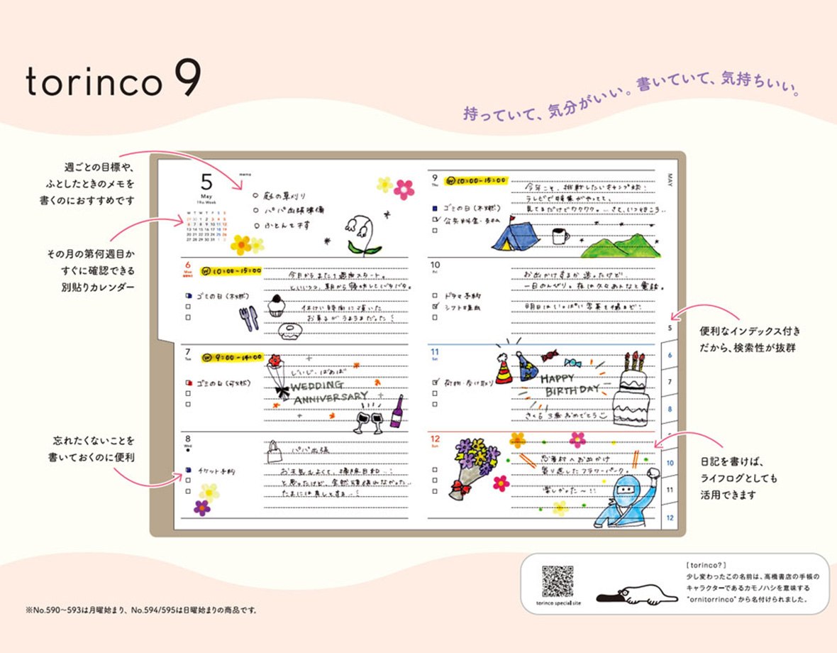 torinco 9 