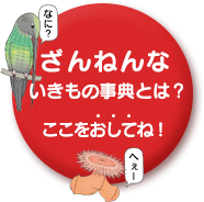 ざんねんないきもの事典とは？ここをおしてね！