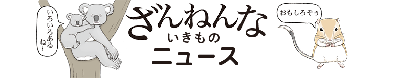 ざんなんないきものニュース